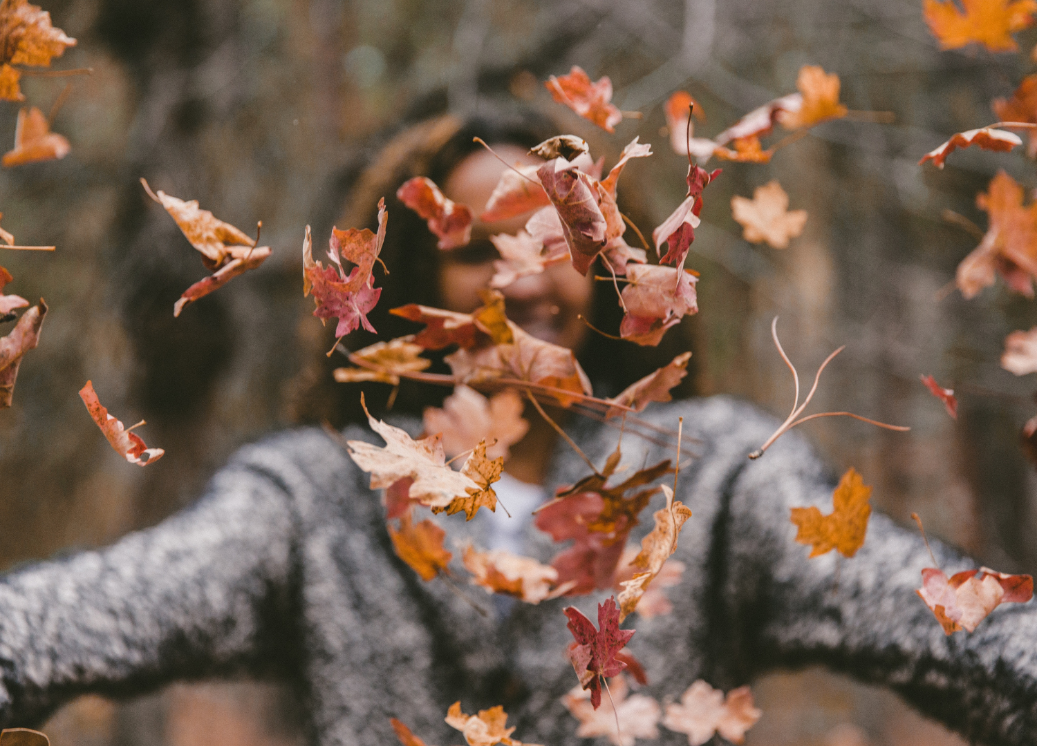 Que faire en Lozère en automne ?