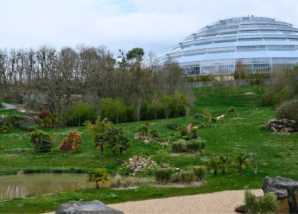 zoo-beauval