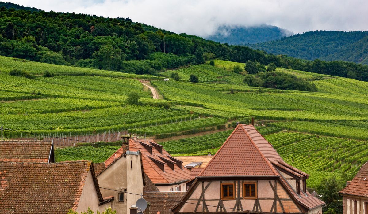 Visiter l’Alsace en 3 jours : notre parcours